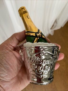 Salt & Pepper Shaker Champagne Bottle in Ice Bucket Figurine - Silver & Gold